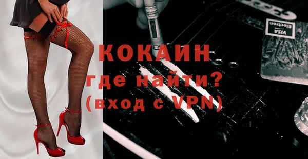 индика Наволоки