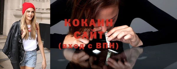 индика Наволоки