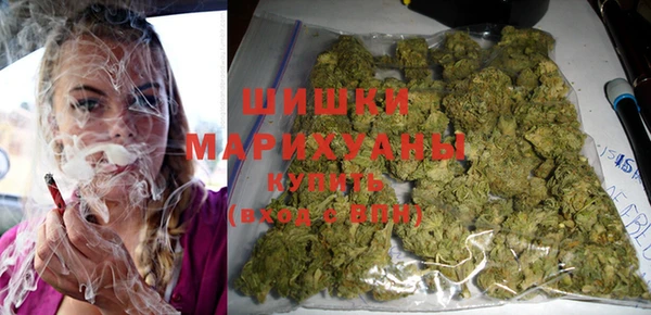 индика Наволоки