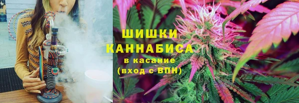 индика Наволоки