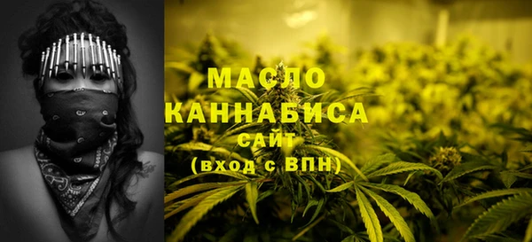 индика Наволоки