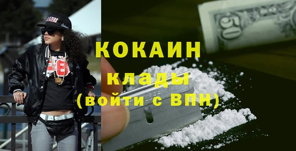 индика Наволоки